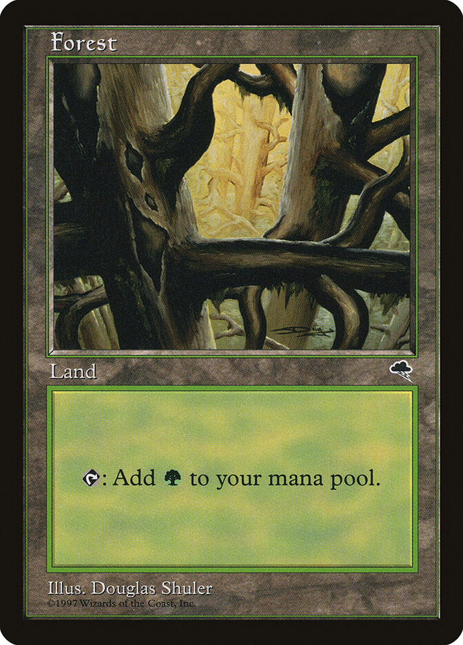 Forest, Tempest Card Art