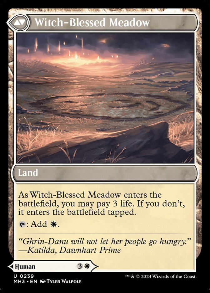 Witch Enchanter // Witch-Blessed Meadow - Foil