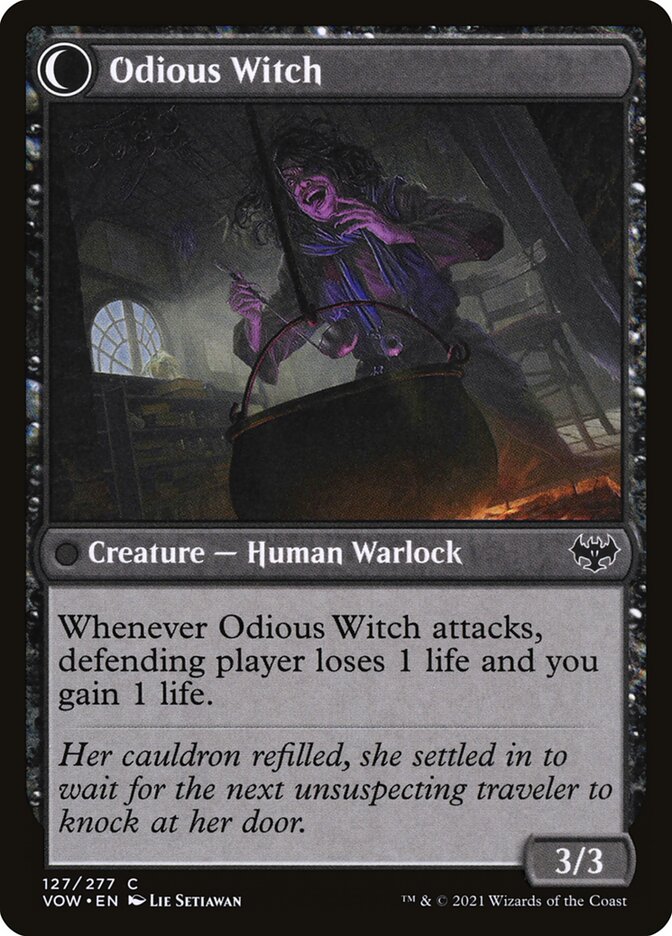 Ragged Recluse // Odious Witch - Foil