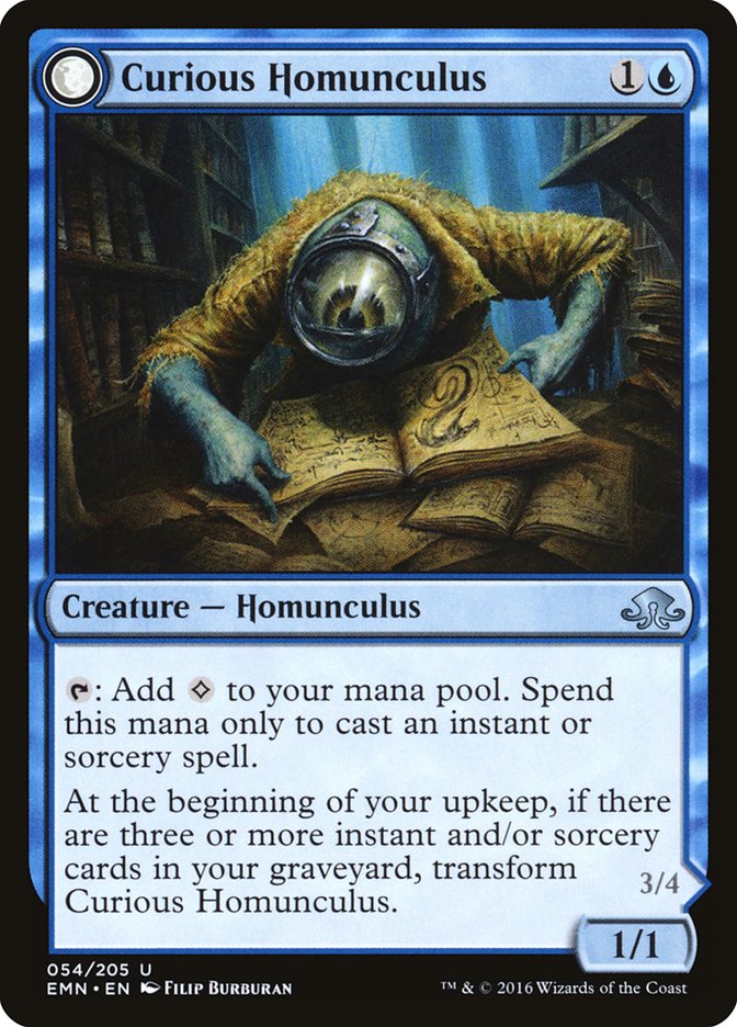 Curious Homunculus // Voracious Reader - Foil