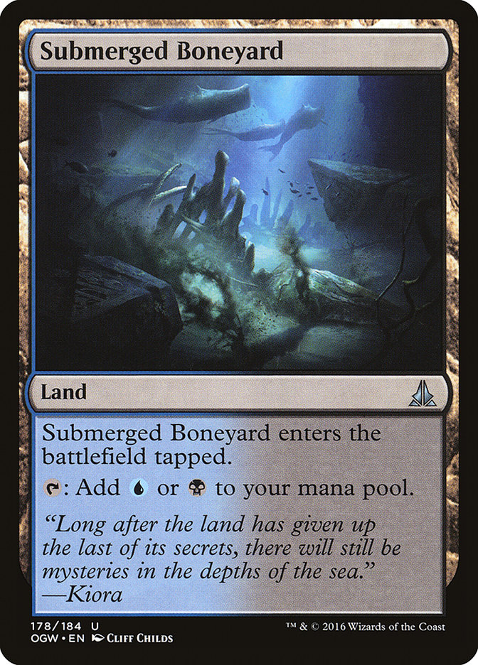 Submerged Boneyard - Foil