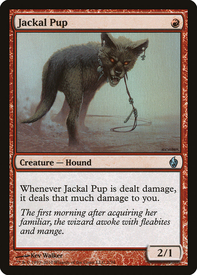 Jackal Pup - Foil