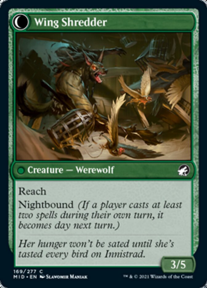 Bird Admirer // Wing Shredder